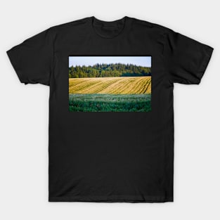 Triple Layered Landscape T-Shirt